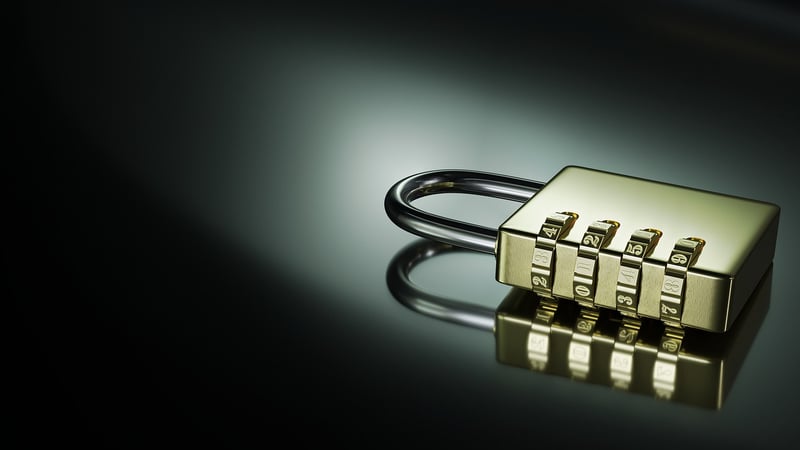 Enchanting Plant Combinations