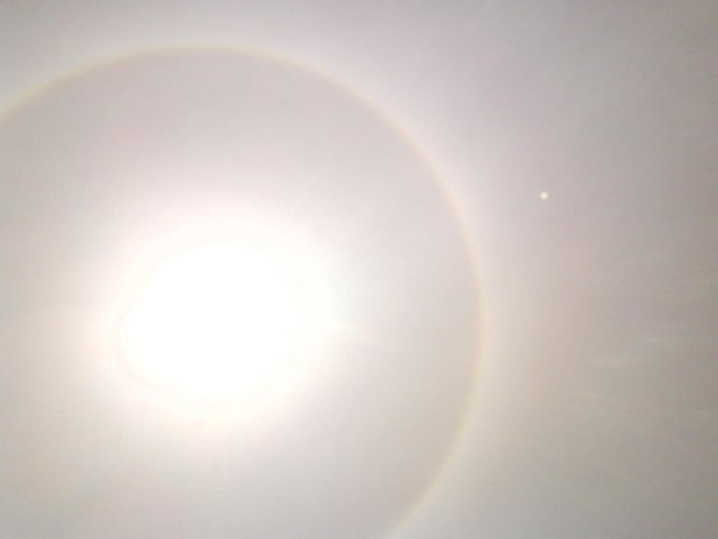 Glowing Solar Lights